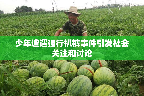 少年遭遇强行扒裤事件引发社会关注和讨论