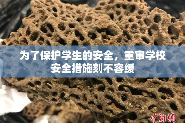 为了保护学生的安全，重审学校安全措施刻不容缓