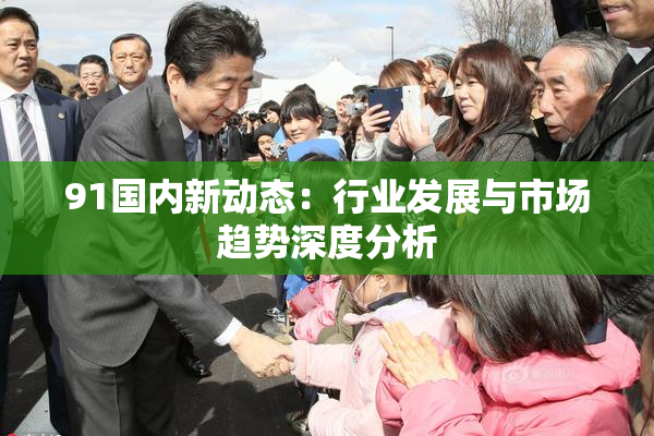 91国内新动态：行业发展与市场趋势深度分析