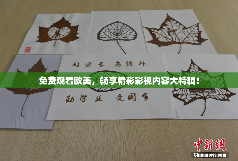 免费观看欧美，畅享精彩影视内容大特辑！