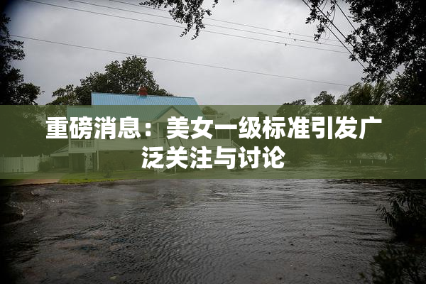 重磅消息：美女一级标准引发广泛关注与讨论