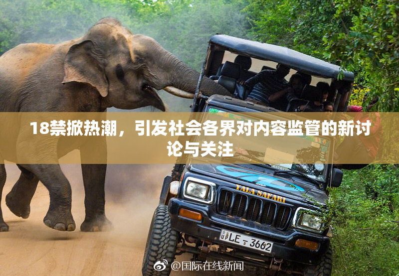 18禁掀热潮，引发社会各界对内容监管的新讨论与关注