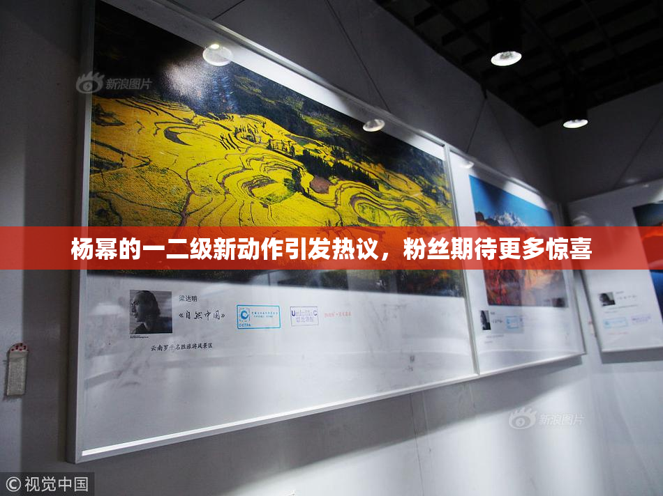 杨幂的一二级新动作引发热议，粉丝期待更多惊喜