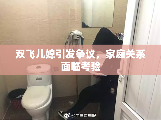 双飞儿媳引发争议，家庭关系面临考验