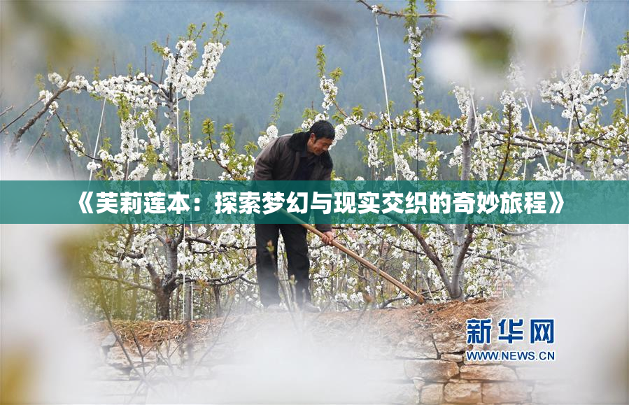 《芙莉莲本：探索梦幻与现实交织的奇妙旅程》