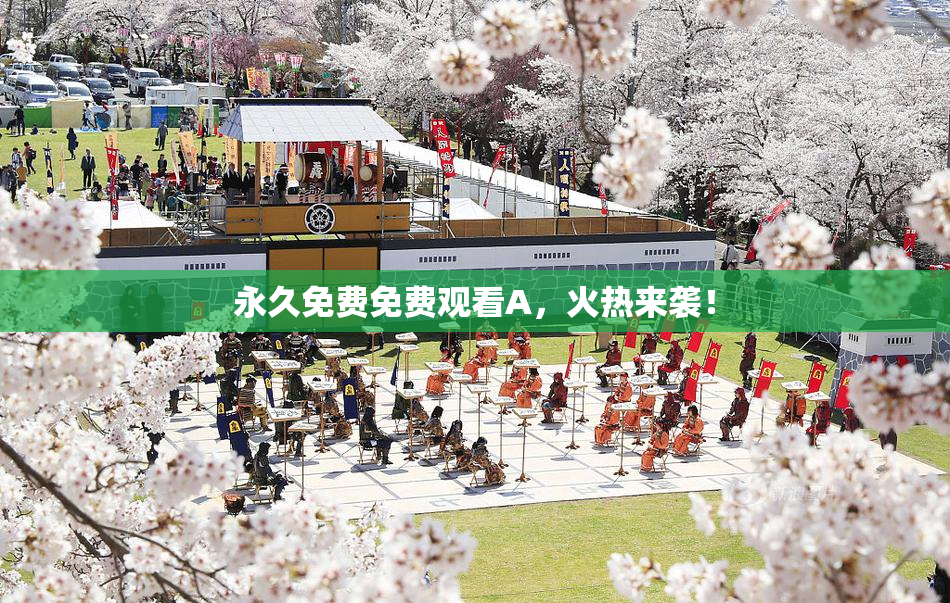 永久免费免费观看A，火热来袭！