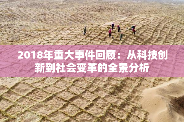 2018年重大事件回顾：从科技创新到社会变革的全景分析