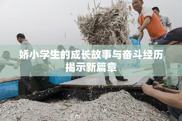 娇小学生的成长故事与奋斗经历揭示新篇章