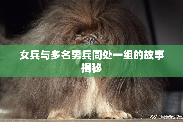 女兵与多名男兵同处一组的故事揭秘