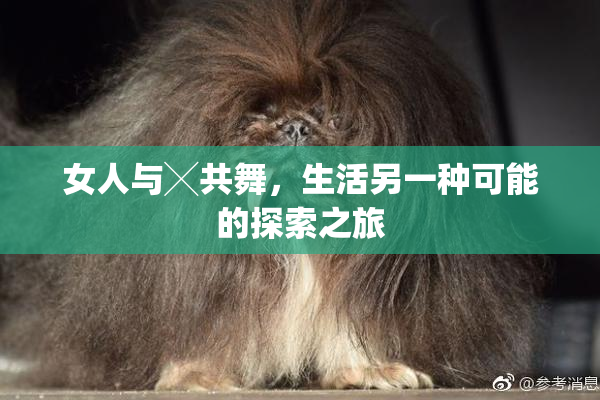 女人与╳共舞，生活另一种可能的探索之旅
