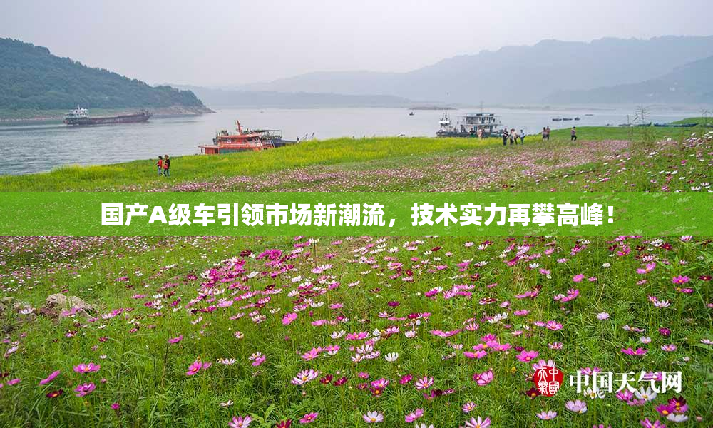 国产A级车引领市场新潮流，技术实力再攀高峰！