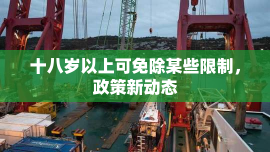 十八岁以上可免除某些限制，政策新动态