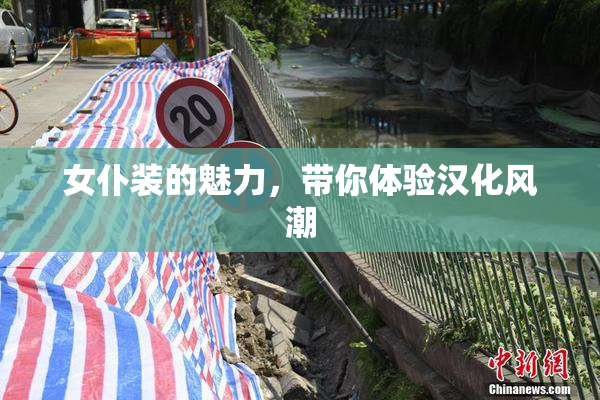 女仆装的魅力，带你体验汉化风潮
