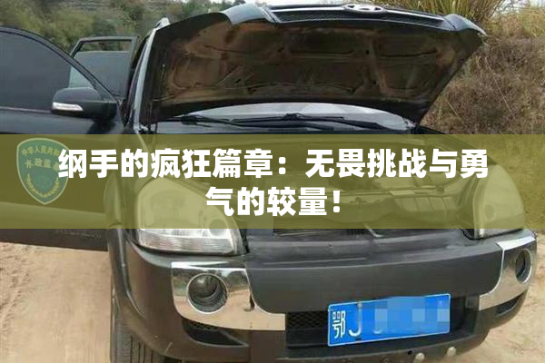 纲手的疯狂篇章：无畏挑战与勇气的较量！