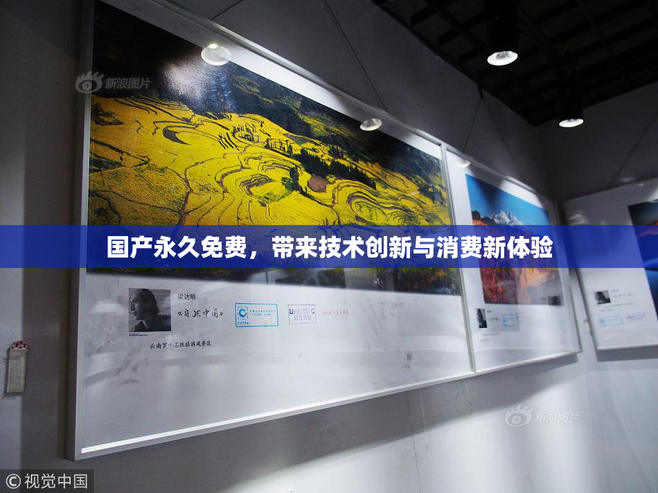 国产永久免费，带来技术创新与消费新体验