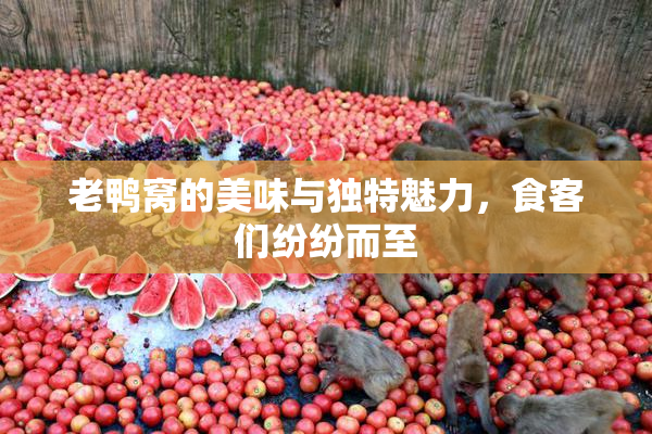 老鸭窝的美味与独特魅力，食客们纷纷而至