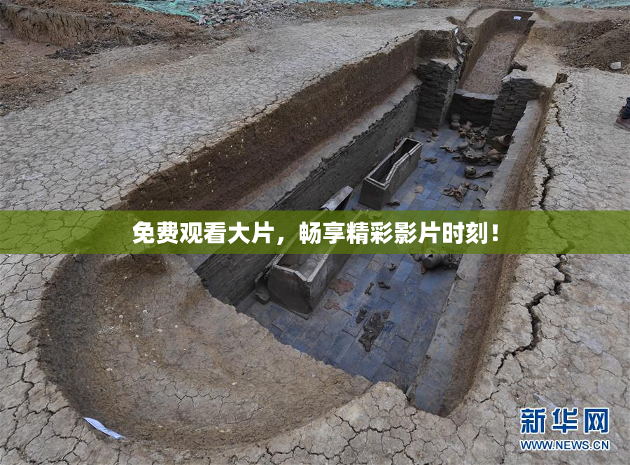 免费观看大片，畅享精彩影片时刻！