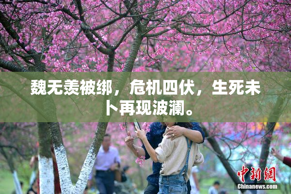 魏无羡被绑，危机四伏，生死未卜再现波澜。
