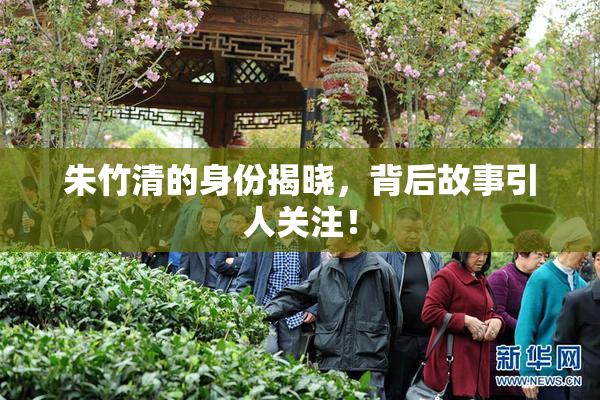 朱竹清的身份揭晓，背后故事引人关注！