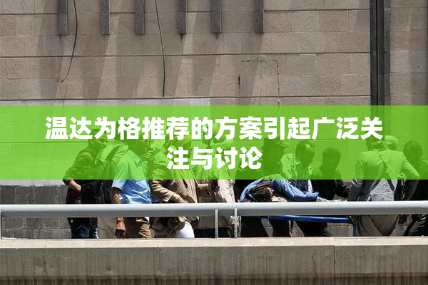 温达为格推荐的方案引起广泛关注与讨论