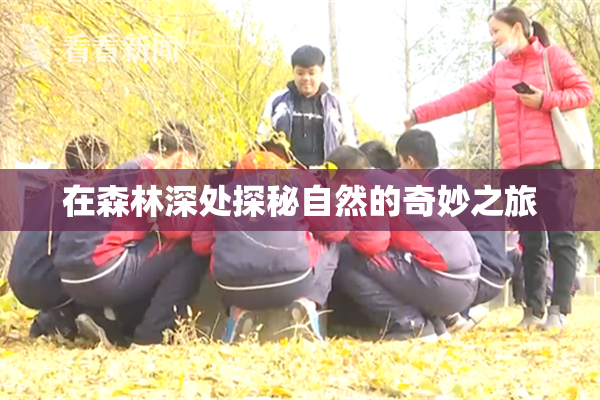 在森林深处探秘自然的奇妙之旅