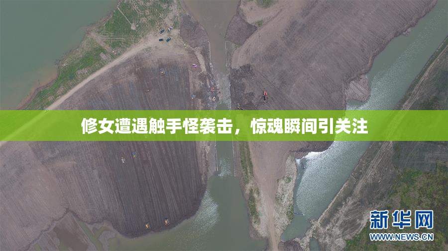 修女遭遇触手怪袭击，惊魂瞬间引关注
