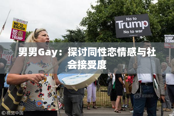 男男Gay：探讨同性恋情感与社会接受度