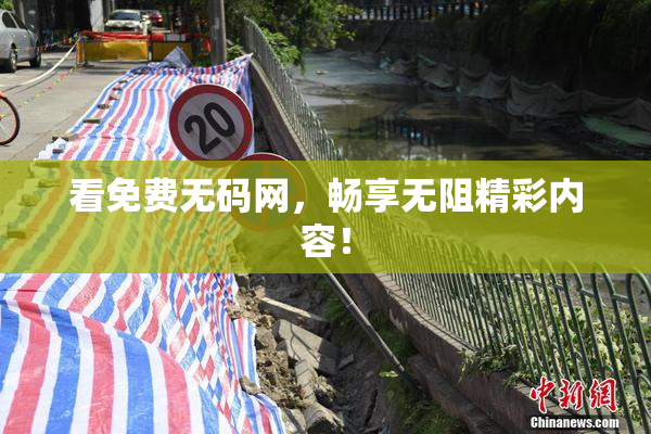 看免费无码网，畅享无阻精彩内容！