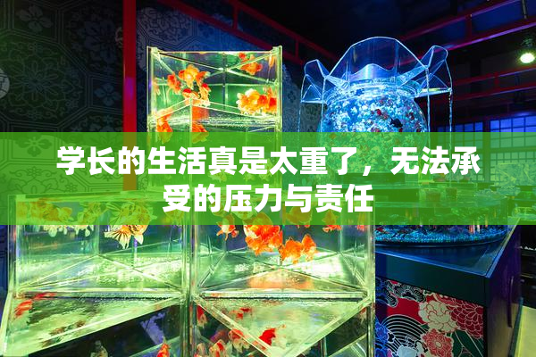 学长的生活真是太重了，无法承受的压力与责任