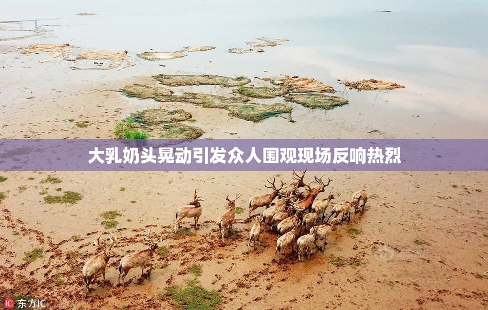 大乳奶头晃动引发众人围观现场反响热烈