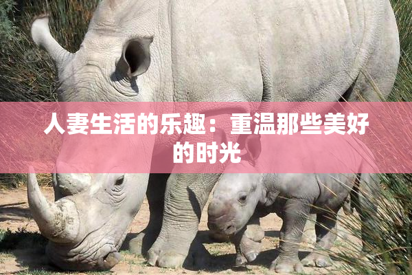 人妻生活的乐趣：重温那些美好的时光