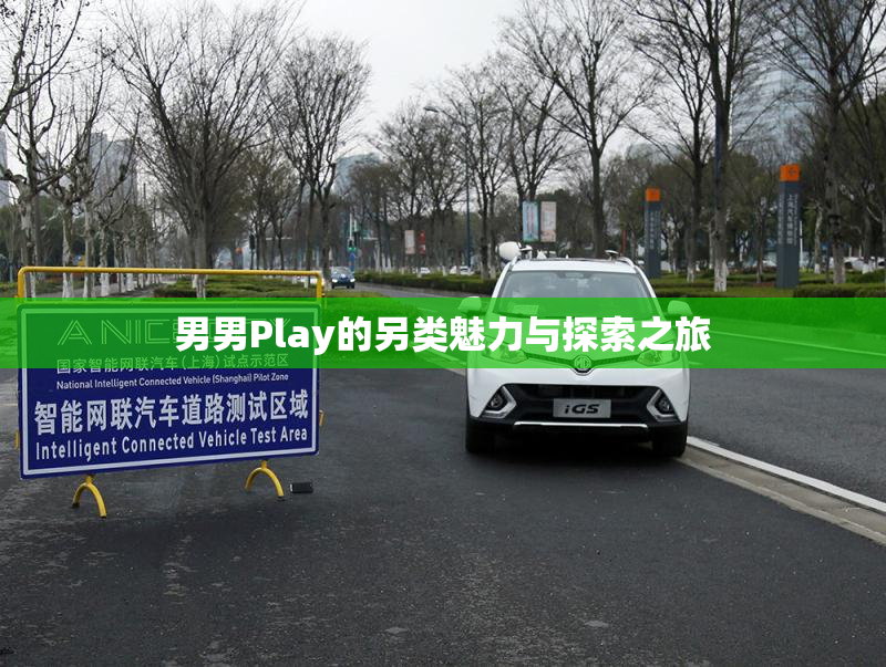 男男Play的另类魅力与探索之旅