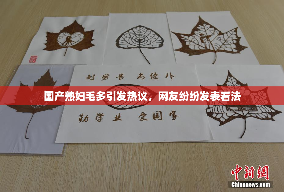 国产熟妇毛多引发热议，网友纷纷发表看法