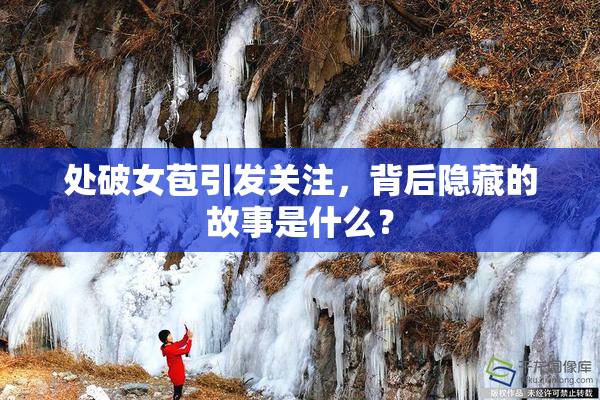 处破女苞引发关注，背后隐藏的故事是什么？