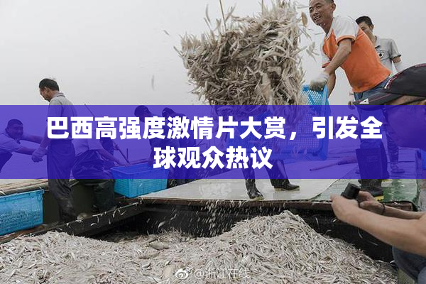 巴西高强度激情片大赏，引发全球观众热议