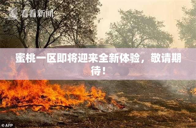 蜜桃一区即将迎来全新体验，敬请期待！