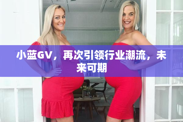 小蓝GV，再次引领行业潮流，未来可期