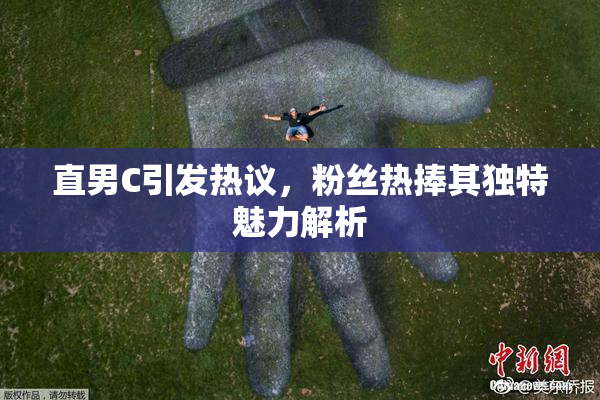 直男C引发热议，粉丝热捧其独特魅力解析
