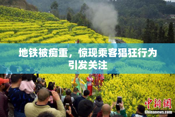 地铁被痴重，惊现乘客猖狂行为引发关注