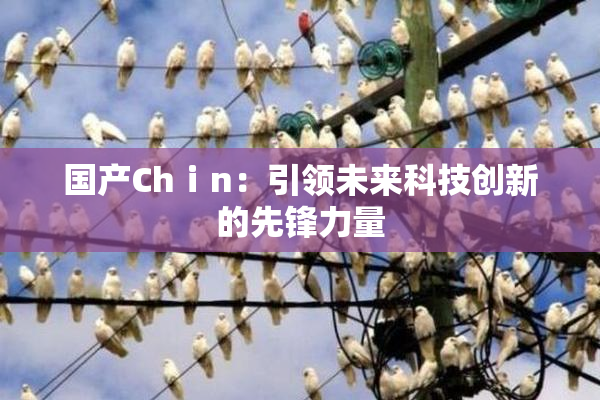 国产Chⅰn：引领未来科技创新的先锋力量