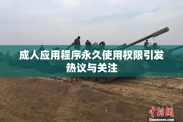 成人应用程序永久使用权限引发热议与关注