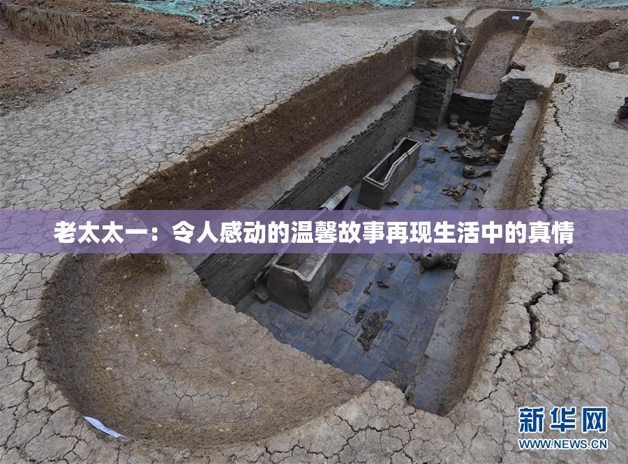 老太太一：令人感动的温馨故事再现生活中的真情