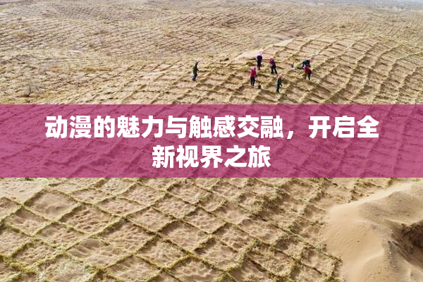 动漫的魅力与触感交融，开启全新视界之旅