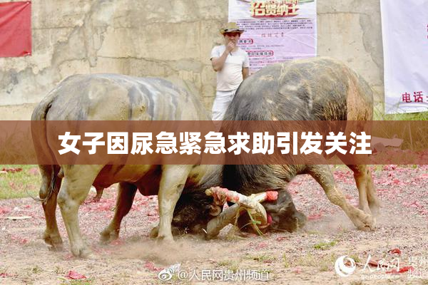女子因尿急紧急求助引发关注