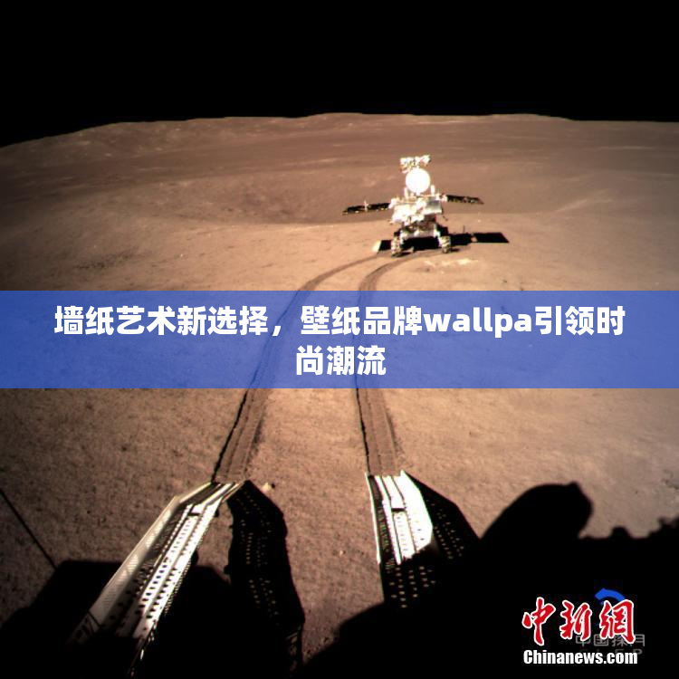 墙纸艺术新选择，壁纸品牌wallpa引领时尚潮流