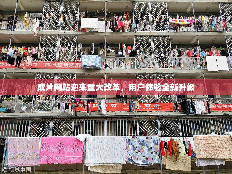 成片网站迎来重大改革，用户体验全新升级