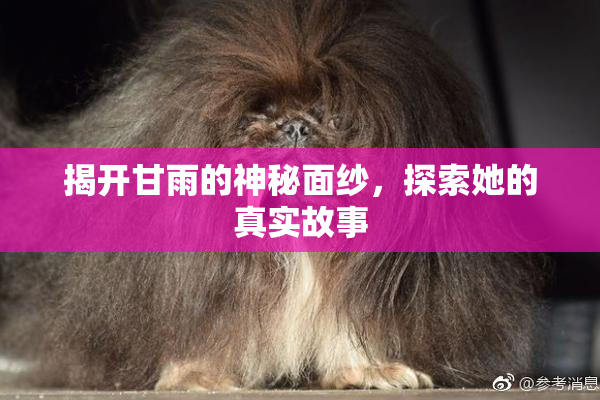 揭开甘雨的神秘面纱，探索她的真实故事