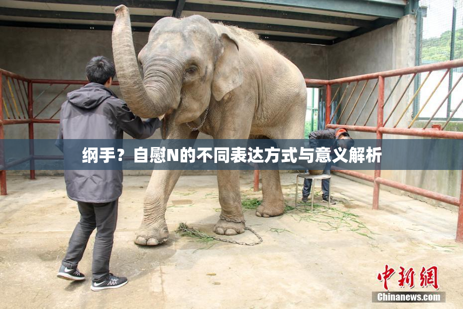 纲手？自慰N的不同表达方式与意义解析