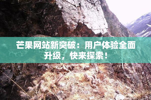 芒果网站新突破：用户体验全面升级，快来探索！