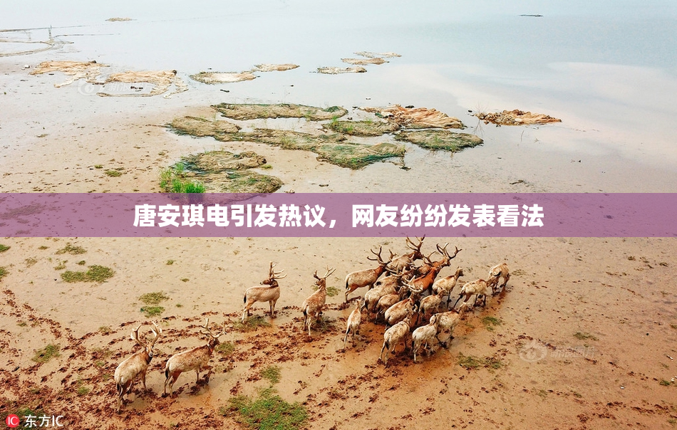 唐安琪电引发热议，网友纷纷发表看法